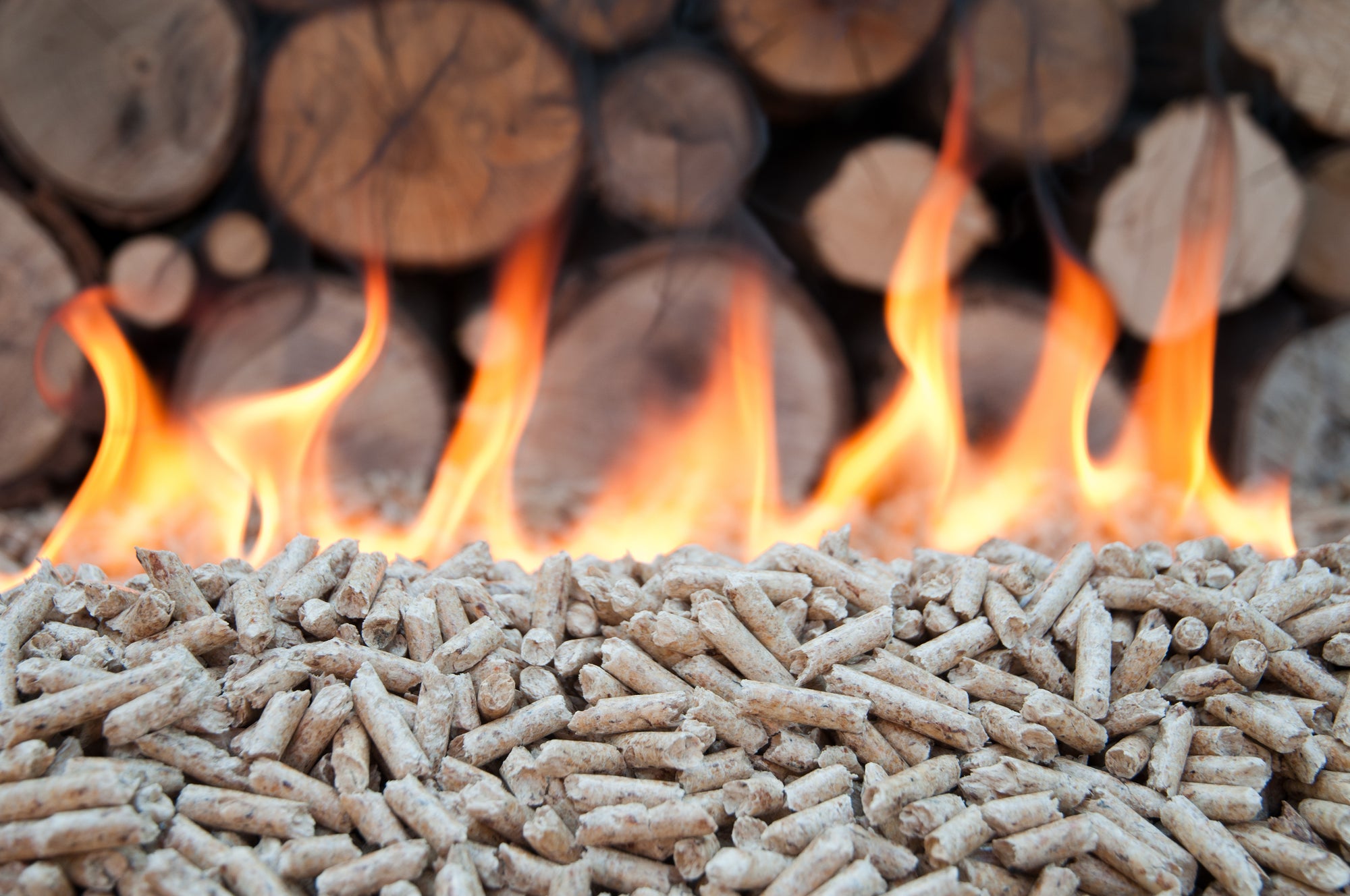 The Russian Invasion of Ukraine is Pushing European Wood Pellet Prices to New Highs
